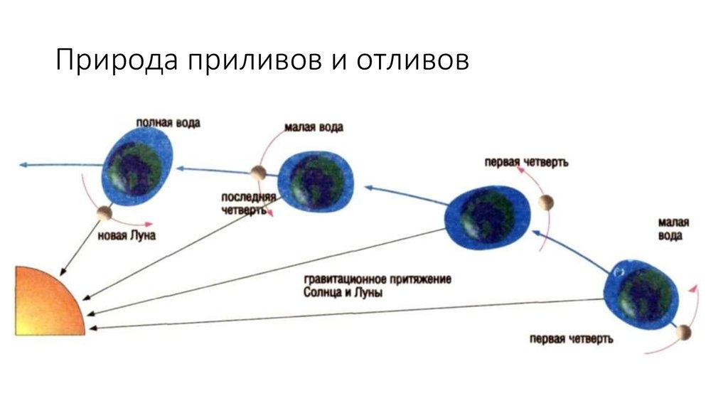 Приливы отливы схема