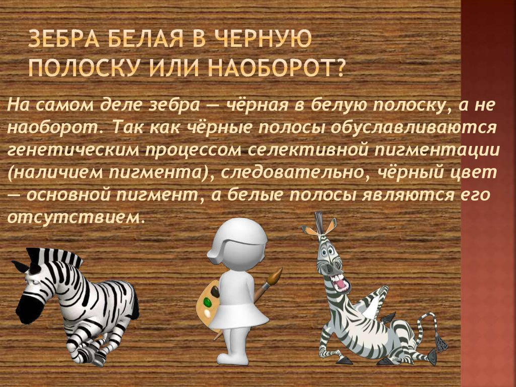зебра белая в черную полоску Или наоборот?