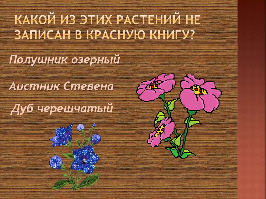 Какой из этих растений не записан в красную книгу?