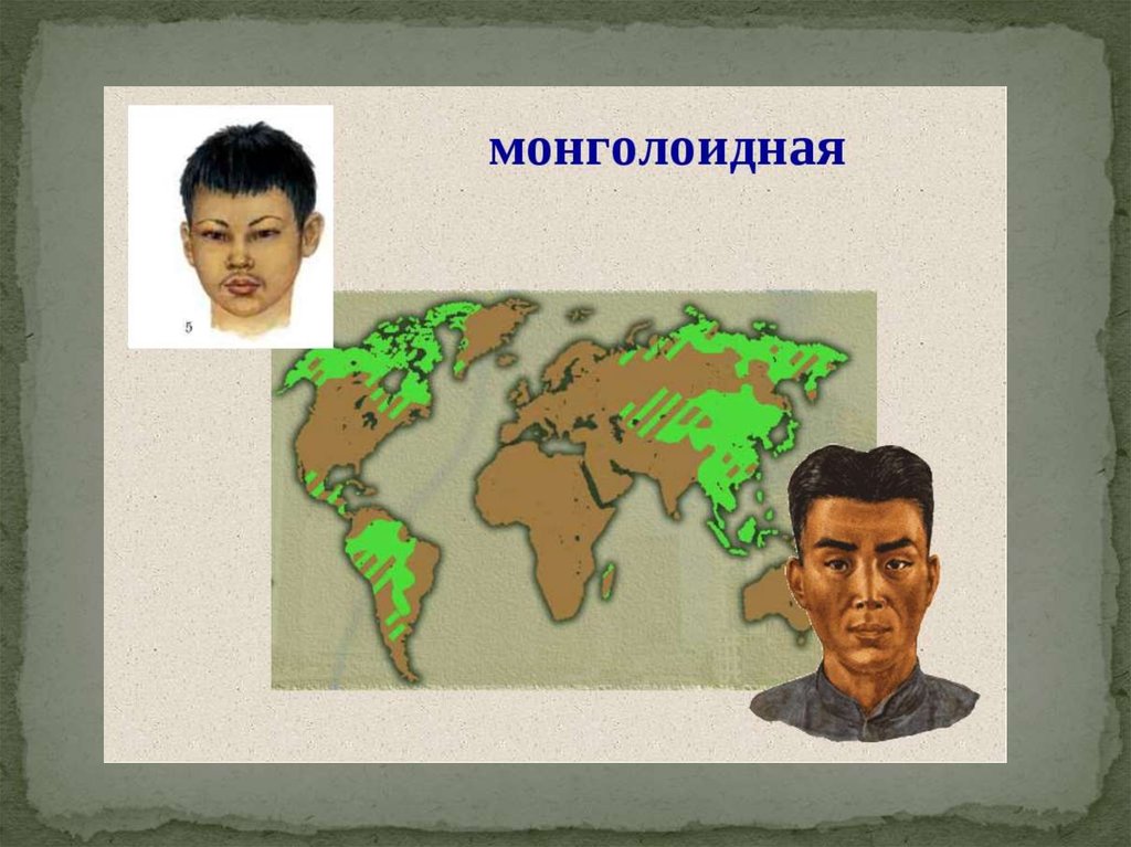 Представители монголоидной расы проживают в основном. Ареалмонголоилной расв. Ареал обитания монголоидной расы. Монголоидная раса народы. Монголоиды расселение.