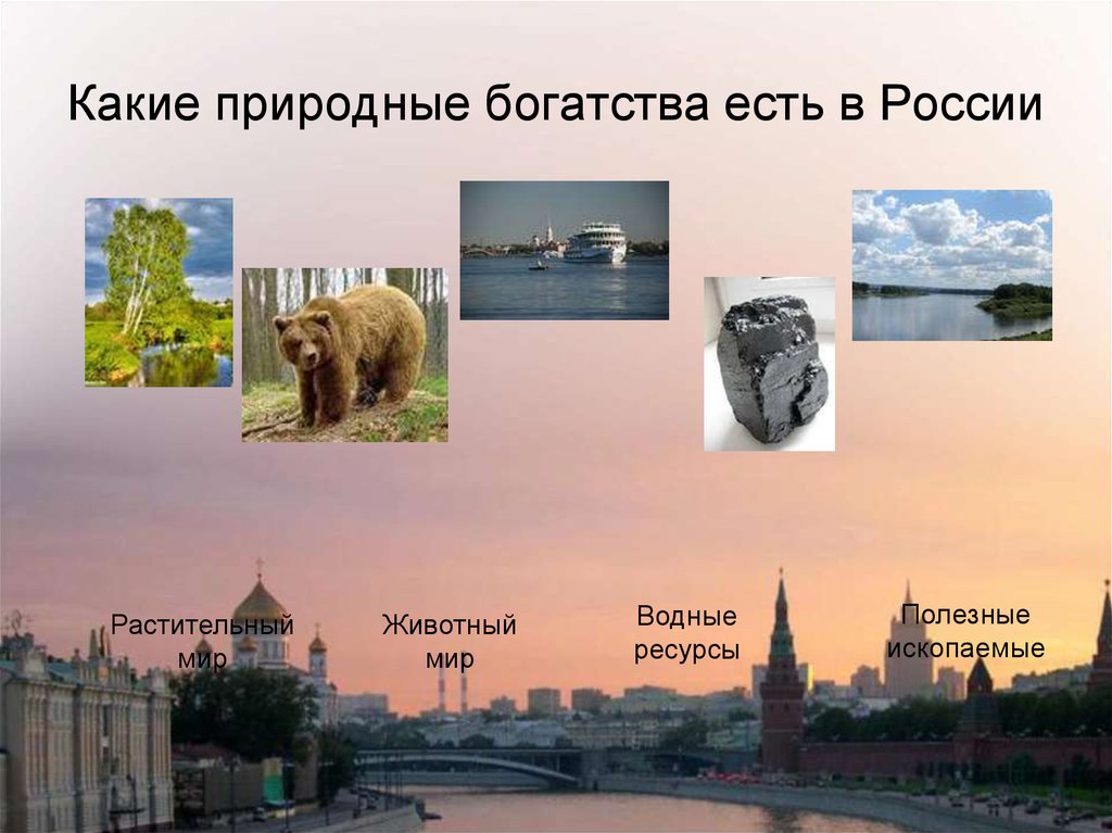 Природные богатства это окружающий мир. Чем богата Россия. Богатства России. Богатство нашей страны. Природные богатства России.