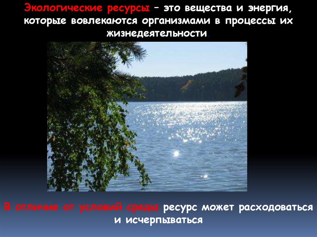 Экологические ресурсы. Экологические ресурсы это в экологии. Эколого-ресурсные условия. Экологические ресурсы 11 класс.