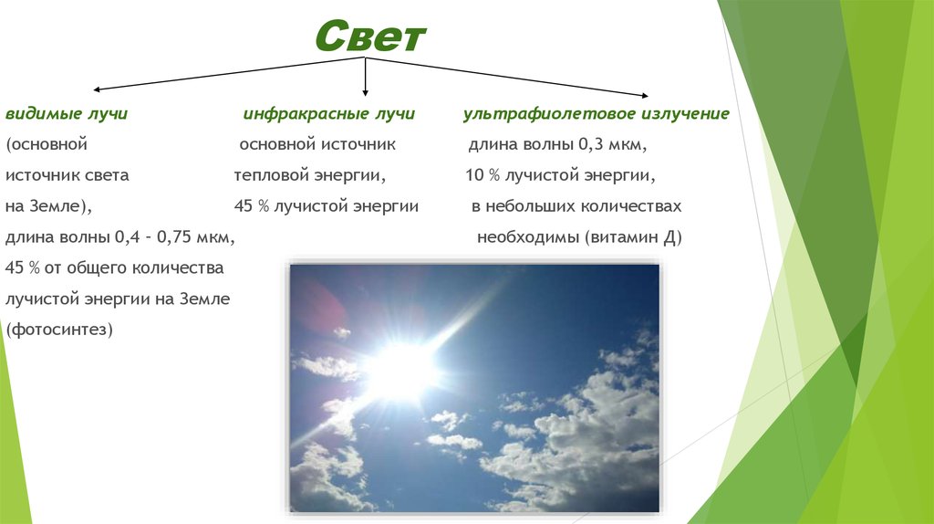 Видимое сообщение. Видимые лучи. Основной источник энергии на земле. Ультрафиолетовые лучи абиотический фактор. Абиотические факторы ультрафиолетовые лучи примеры.