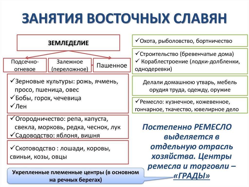 Восточные славяне конспект. Занятия восточных славян. Занятия восточных Славя. Зантия Восточный славян. Основные занятия восточных славян.