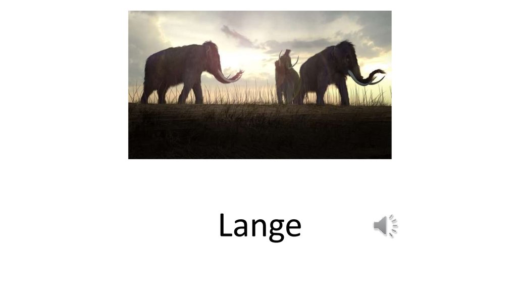 Lange