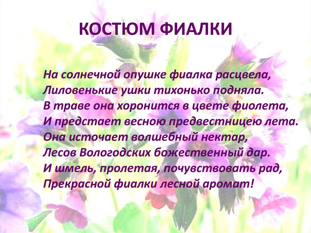 Текст песни на солнечной опушке. На солнечной опушке фиалка расцвела. Фиалка расцвела песня.