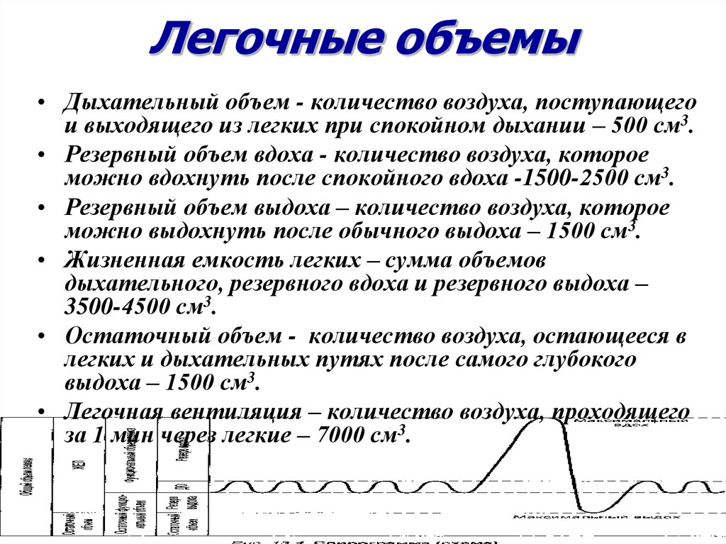 Рассмотрите рисунок с изображением функционального деления общей емкости легких