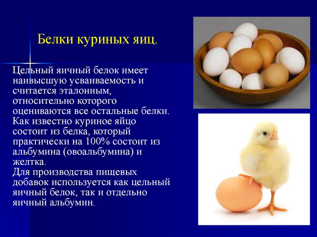 Куриное яйцо без белка. Белок куриного яйца. Белки в яйце курином. Белки в питании человека презентация. Белок в белке яйца.