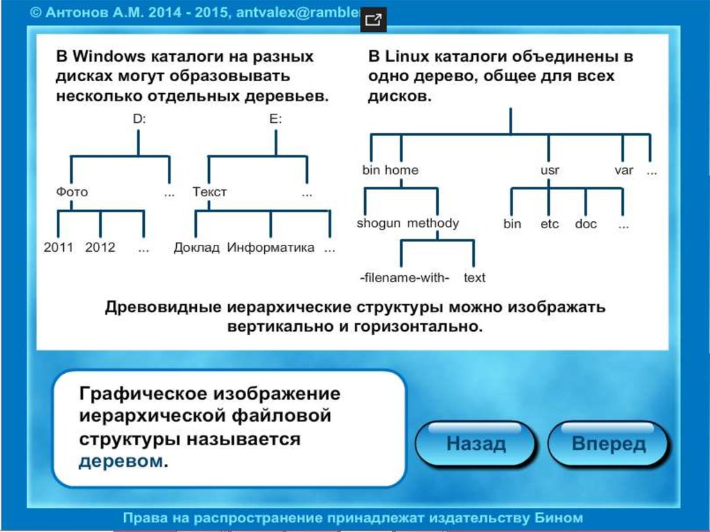 Графическое изображение иерархической структуры называется. Графическое изображение файловой структуры. Графическое изображение иерархической файловой структуры. Изобразить графически файловую структуру. Древовидная файловая система.