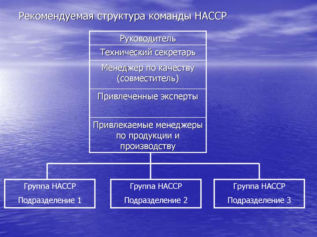 Структура команды. Структура НАССР. Структура группы ХАССП. Организационная структура группы ХАССП. Протоколы группы ХАССП.