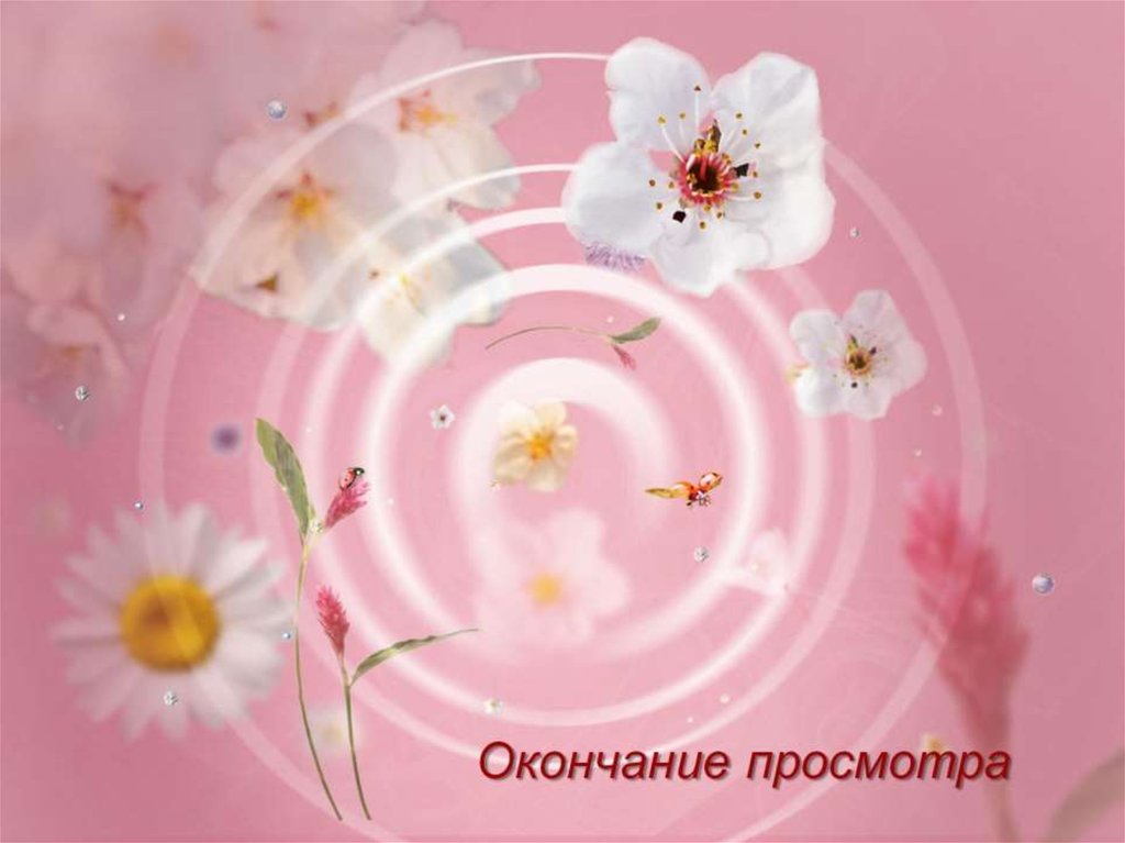 Окончание просмотра