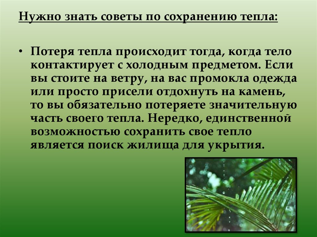 пух птицы. перья птиц. для чего птицам хвост. гигиена сохранении и укреплении здоровья человека. перья способствуют сохранению тепла в теле.