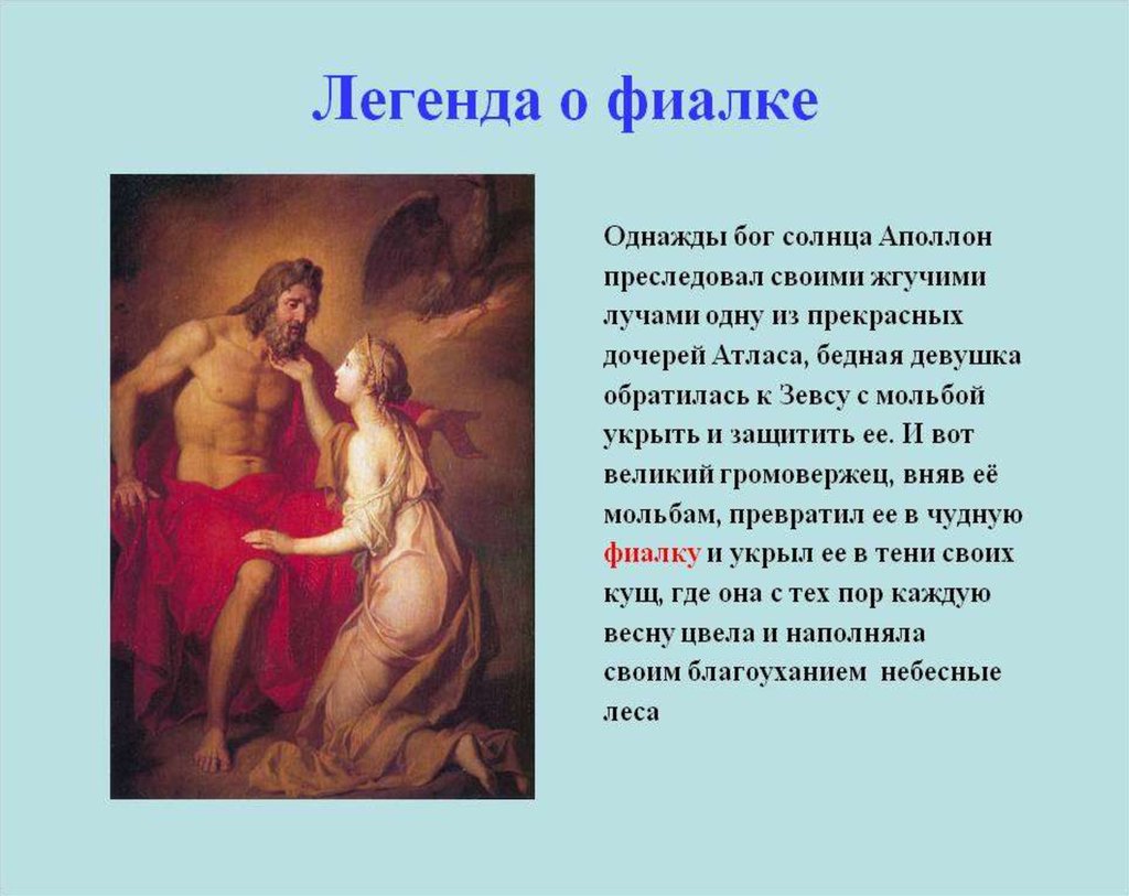 Легенда о богах. Легенда о фиалке. Мифы и легенды о фиалке. Цветы в мифах и легендах. Древнегреческие мифы о цветах.