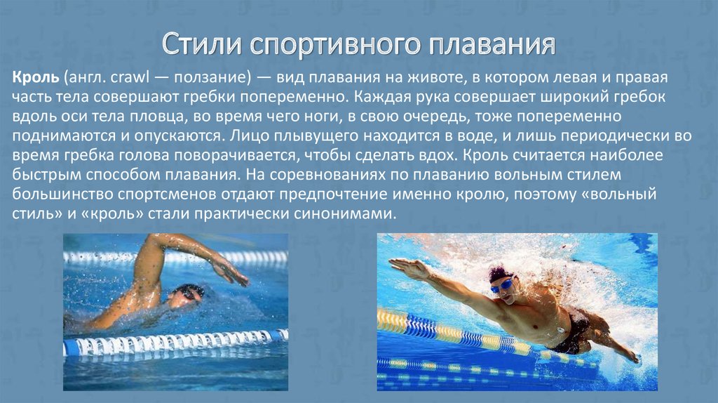 Баттерфляй плавание фото и описание