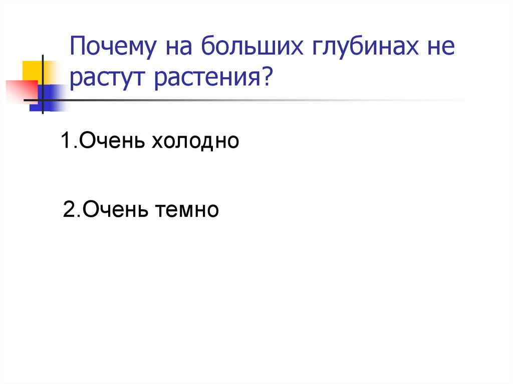 Почему на больших глубинах не растут растения?