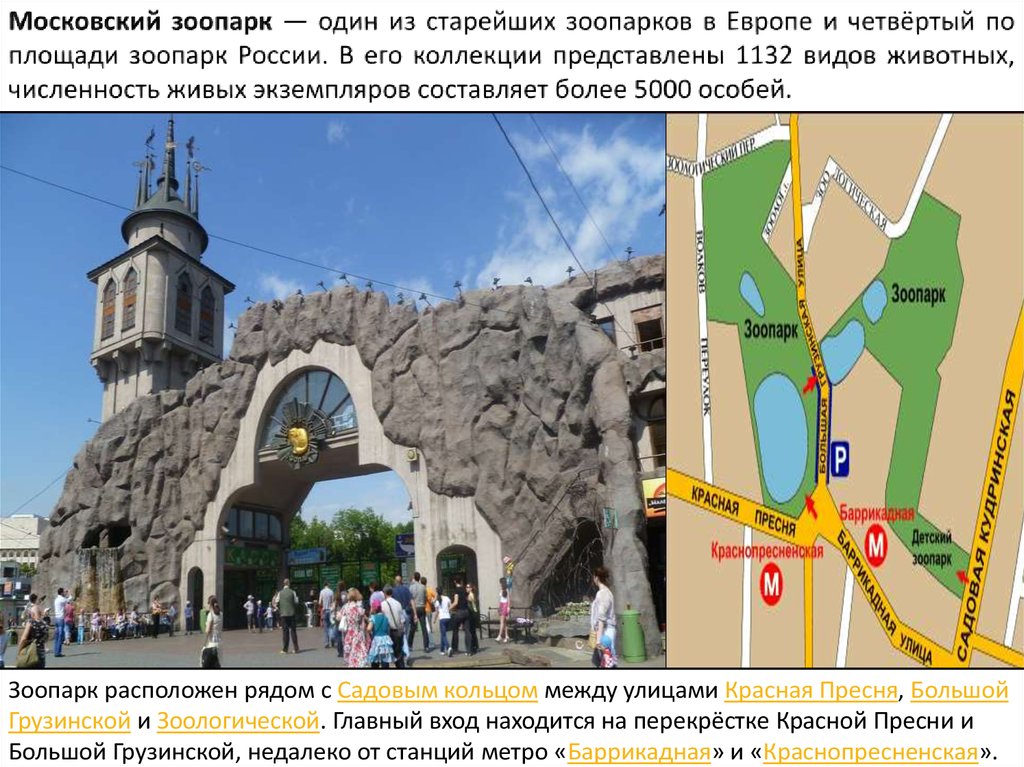 Московский зоопарк билеты по пушкинской карте