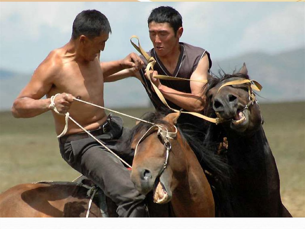 Киргизы хорошие наездники и на каждом праздники устраивают конные соревнования.