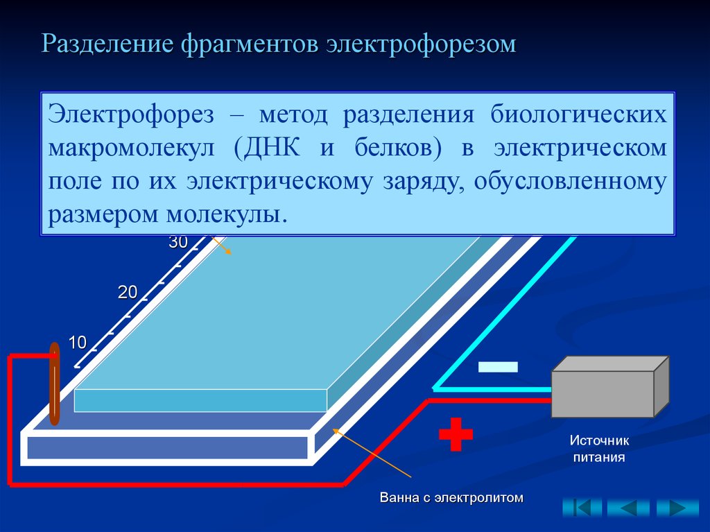 Методика электрофореза