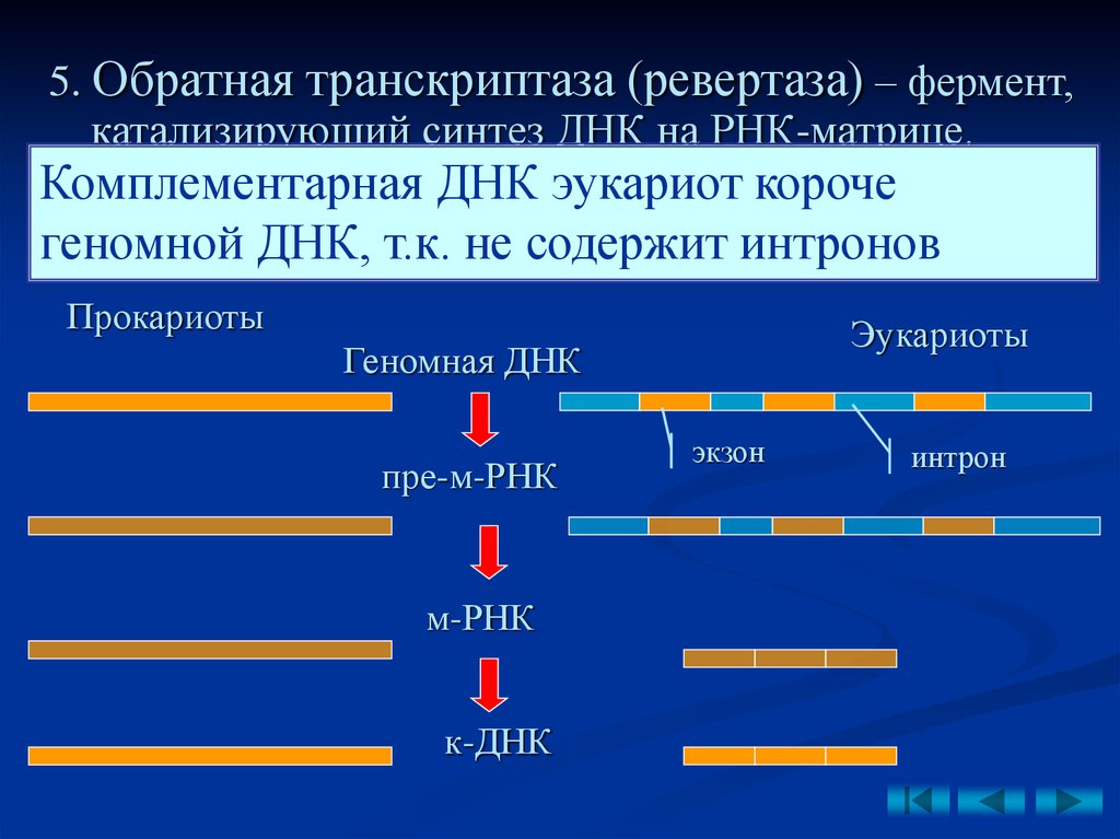 Ревертаза