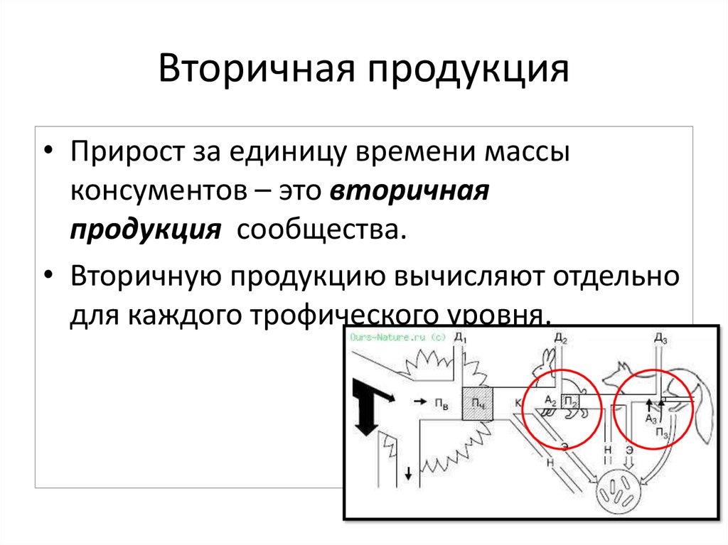 Вторичная продукция