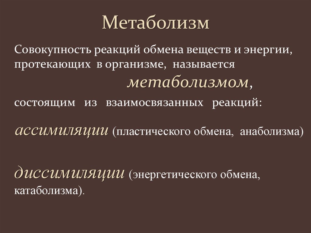 Метаболизм