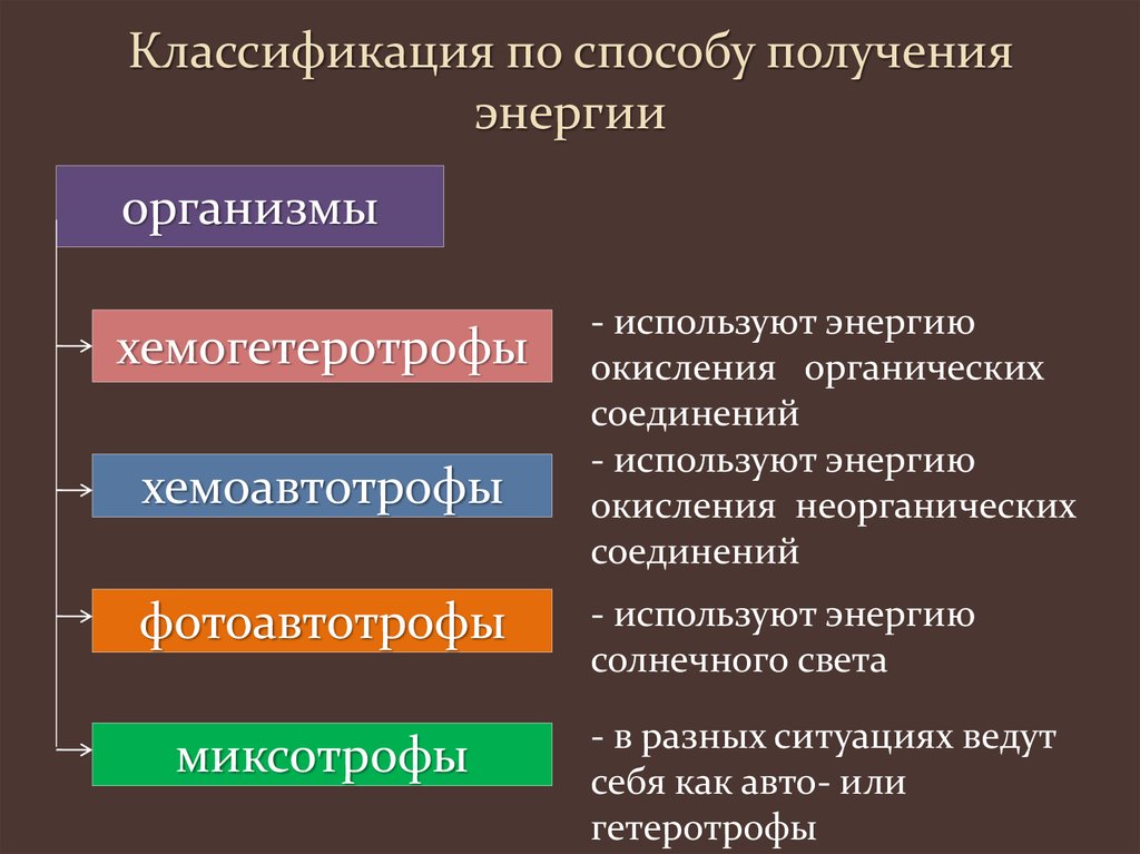 Классификация по способу получения энергии