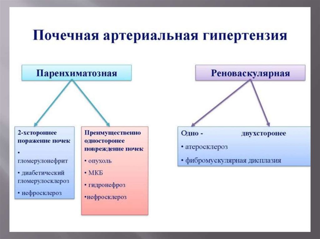 Причины гипертензии. Почечная гипертензия. Почечная гипертония. Почечная гипертензия причины. Артериальная гипертензия почки.