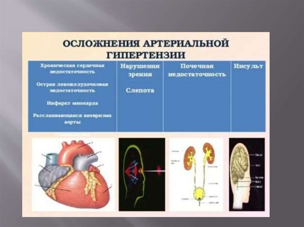 Вазоренальная гипертензия презентация