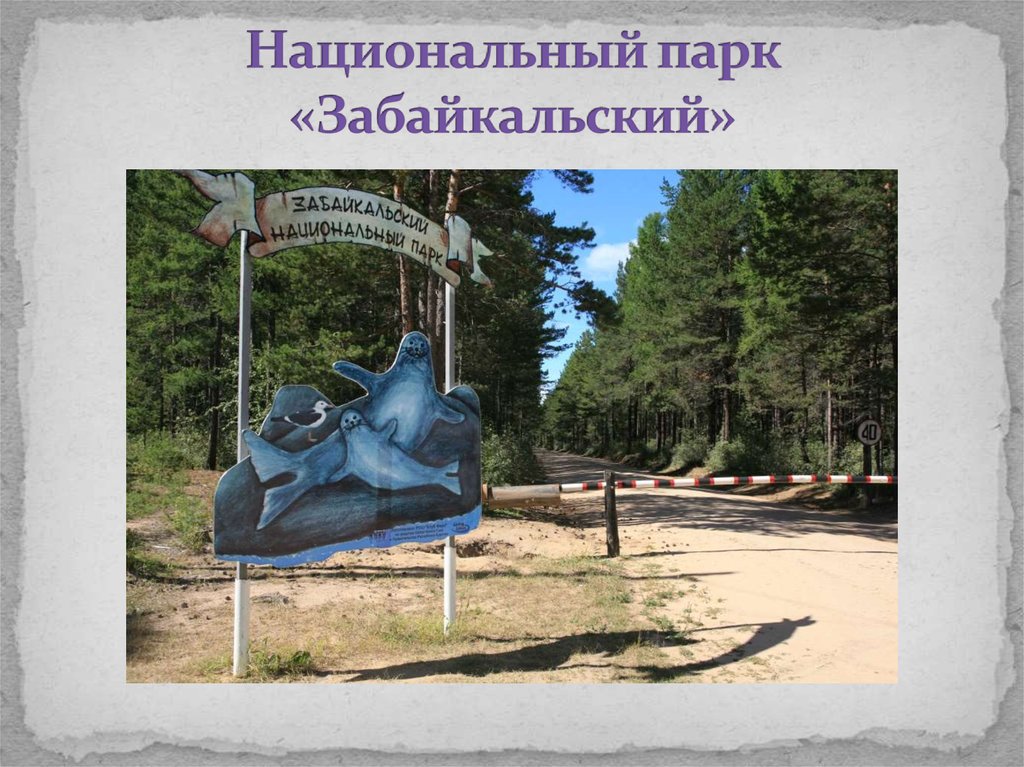 Национальный парк «Забайкальский»