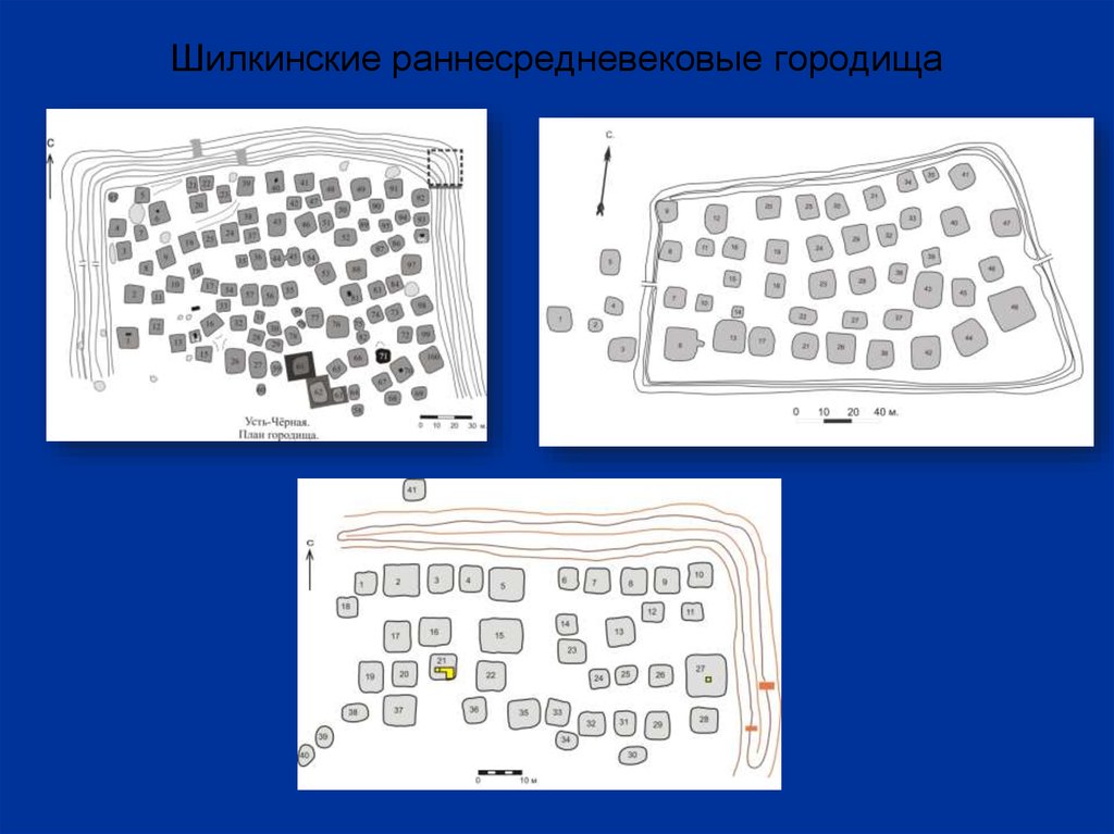 Шилкинские раннесредневековые городища