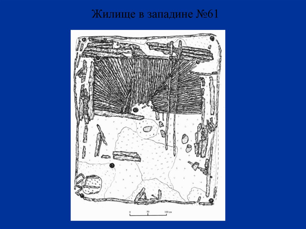 Жилище в западине №61