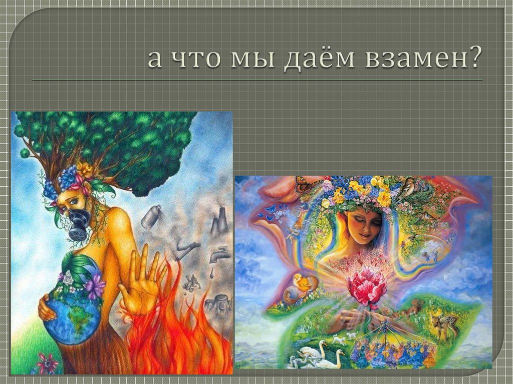 а что мы даём взамен?