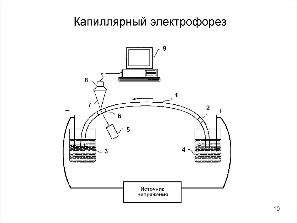 Капиллярный электрофорез презентация