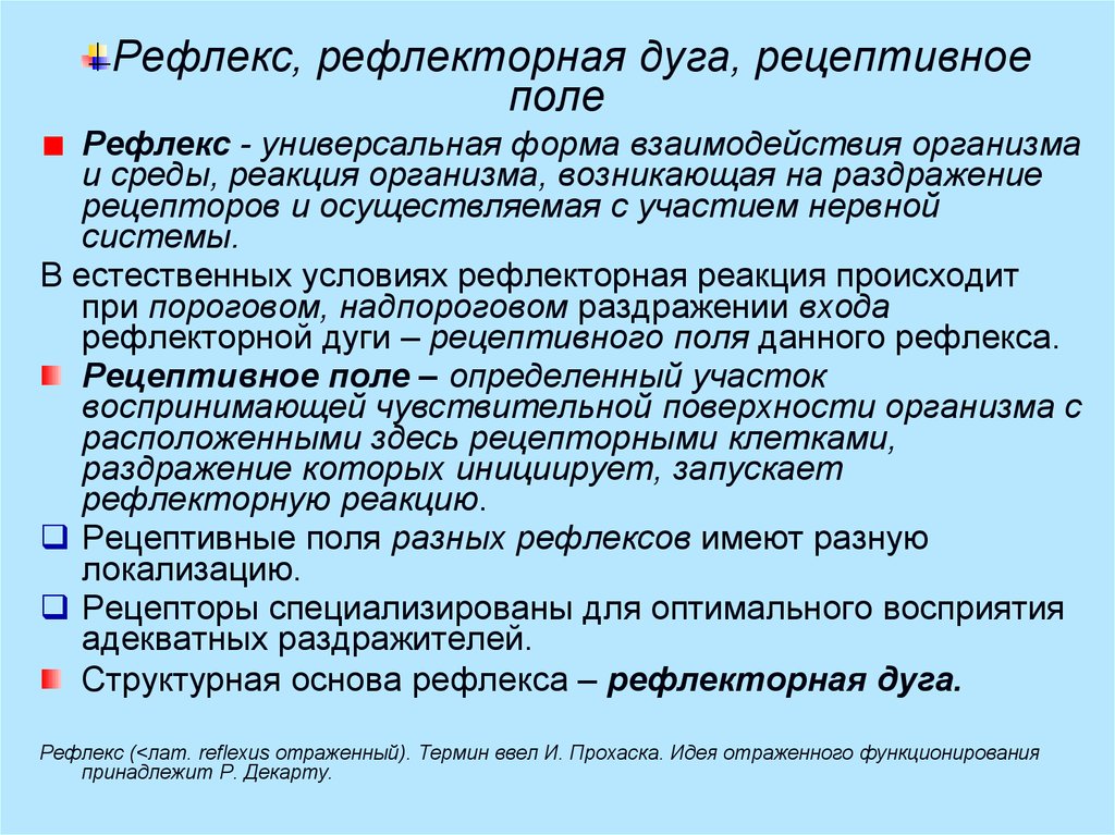 Рецептивное поле рефлекса. Рецепторное Пон рефлекса. Пример рецептивного поля рефлекса. Рецептивное поле рефлекса физиология.