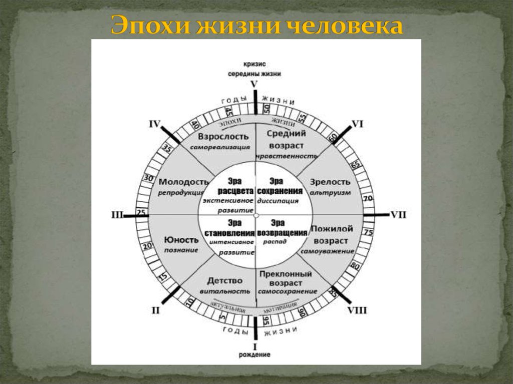 В какой эпохе мы живем. Эпохи жизни. Эпохи жизни человека. Века жизни человечества. Все эпохи жизни.