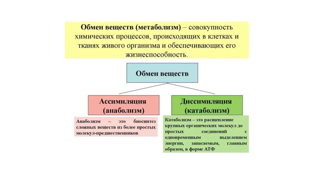 Обмен веществ презентация. Обменом веществ называют процесс:. Обмен веществ метаболизм. Обмен веществ определение.