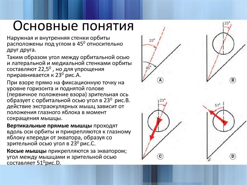 Ось орбиты