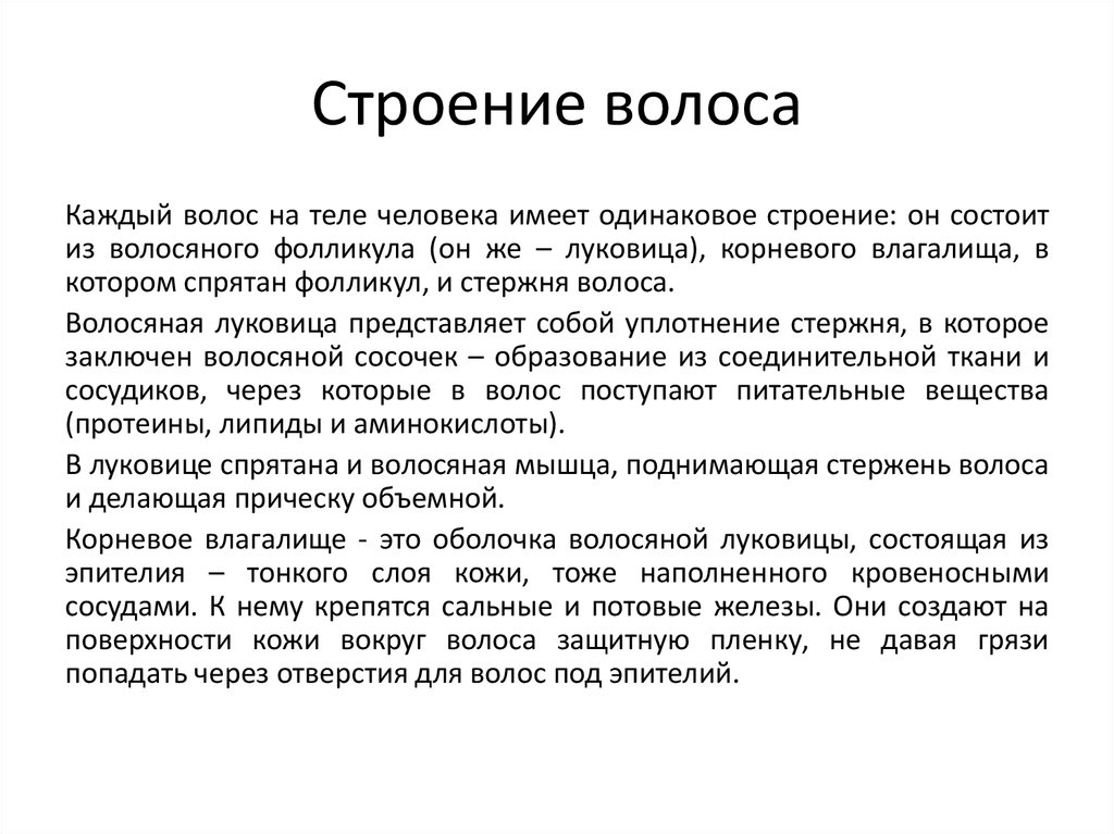 15 фактов о клиторе, которые тебя сильно удивят 😲