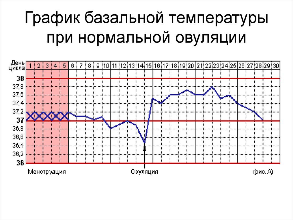 Может ли во время месячных быть овуляция. График базальной температуры менструационного цикла. Измерение базальной температуры в гинекологии. График базальной температуры норма с примерами. Измерение базальной температуры 2 фазы цикла.