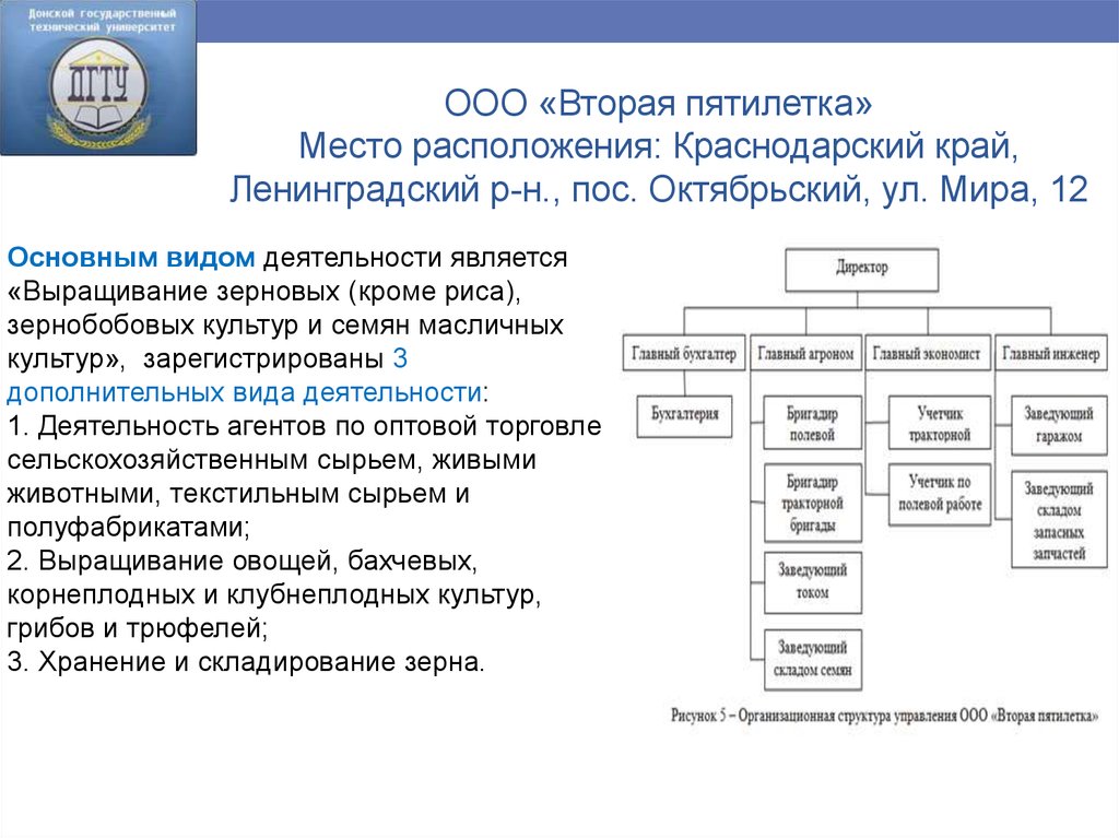 Ооо второй. ООО вторая пятилетка. Вторая пятилетка ООО Краснодарский край. Организационная структура хранение зерна. Организационная структура предприятия выращивание зерновых культур.