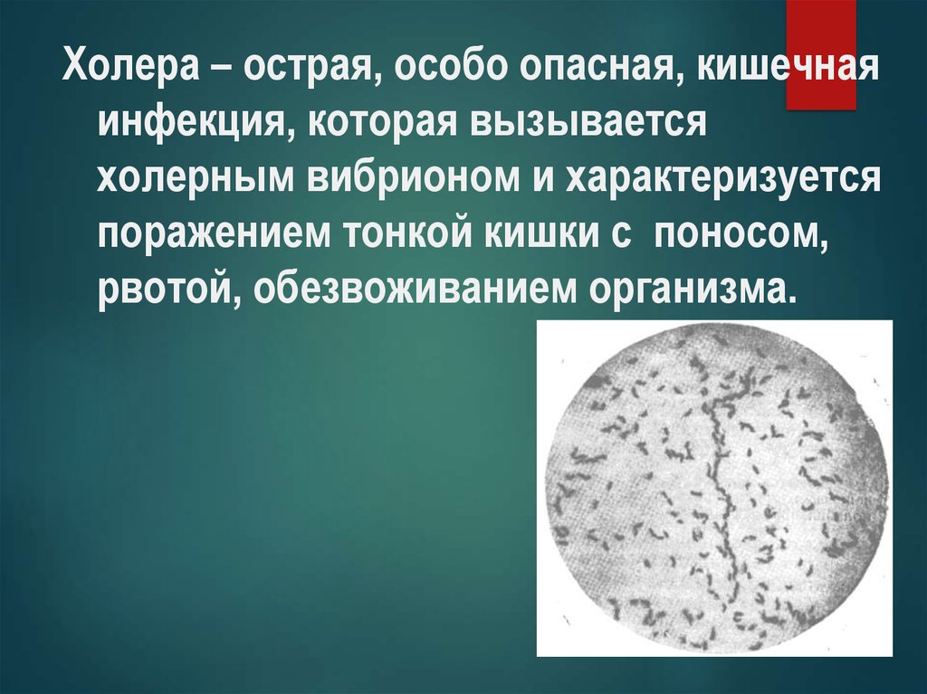 Особо опасные инфекции холера презентация