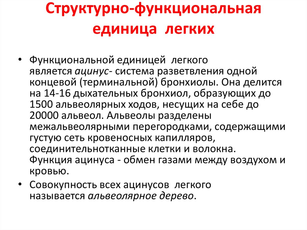 Структурно функциональными единицами легкого являются