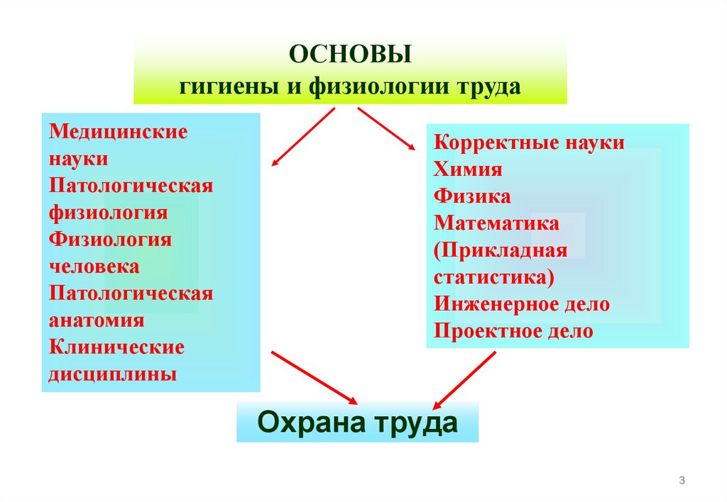 Основы гигиены и физиологии труда презентация