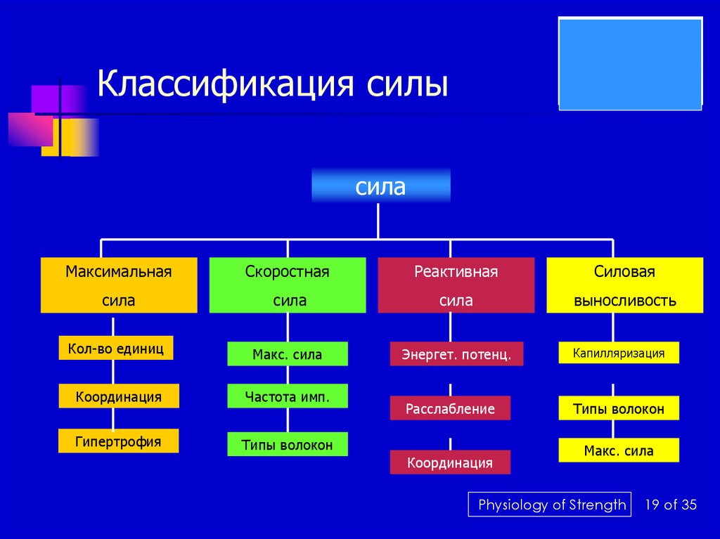 Сила следующий. Классификация сил. Сила классификация сил. Современная классификация силы. Классификация систем сил.