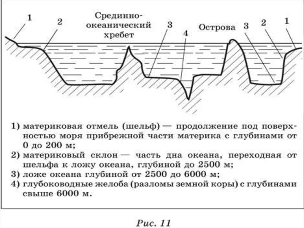 Рельеф дна мирового океана рисунок