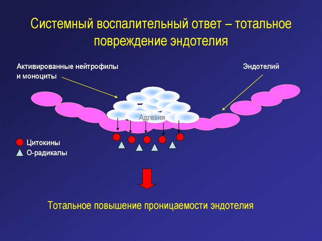 Воспалительный процесс это