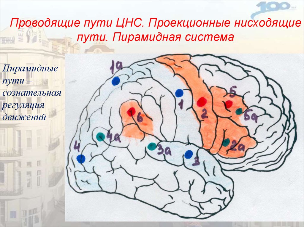 Проведи путь