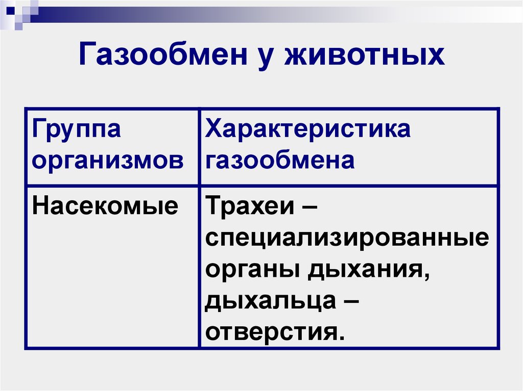 Газообмен функция. Типы газообмена у животных. Газообмен у животных. Газообмен у животных 7 класс. Органы дыхания и газообмен таблица 7 класс биология.