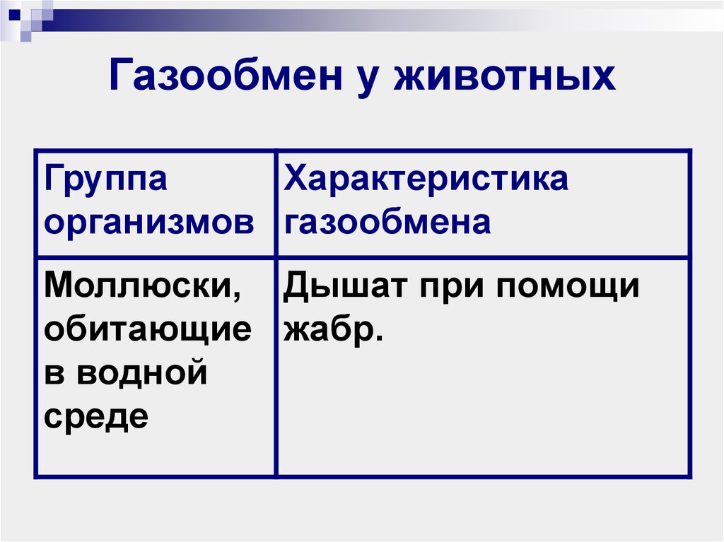 Дыхание животных 6 класс. Газообмен растений и животных. Органы газообмена таблица. Органы газообмена у животных. Органы дыхания и газообмен у животных.