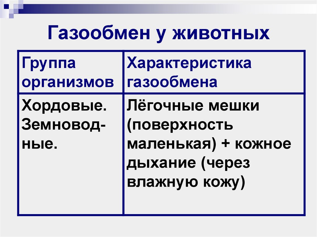 Газообмен у животных. Органы дыхания и газообмен 7 класс таблица. Чем отличается легочный газообмен от тканевого.